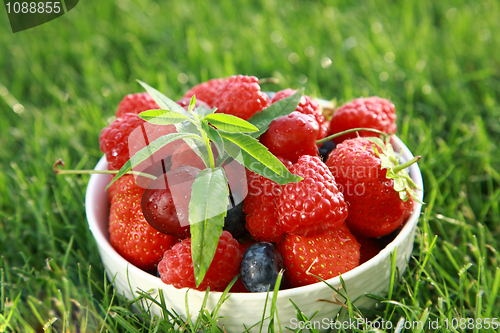 Image of Fresh fruits