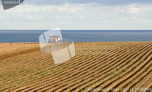 Image of Tractor in a field