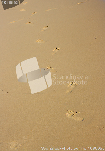 Image of Feet on sand
