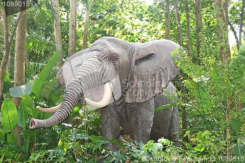 Image of Elephant