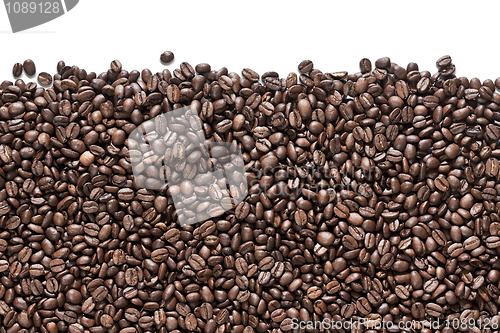 Image of Coffee beans on white Background