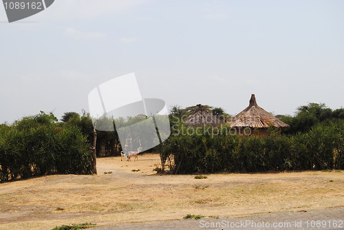 Image of hut in ethiopian landscape