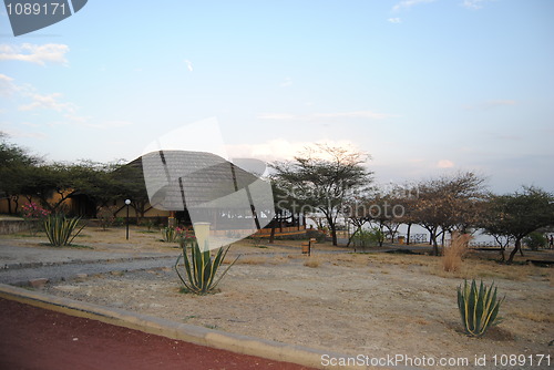 Image of Sabana Ethiopia