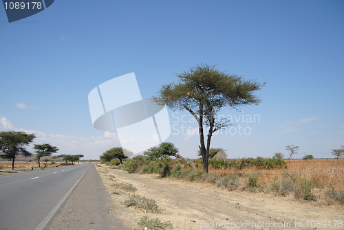 Image of Ethiopian road