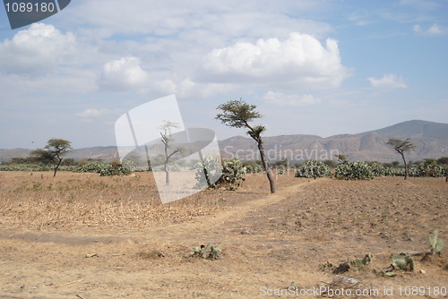 Image of ethiopian landscape