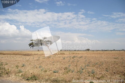 Image of ethiopian nature