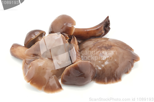 Image of Mushrooms marinaded isolated on white background 