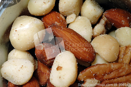 Image of macadamia