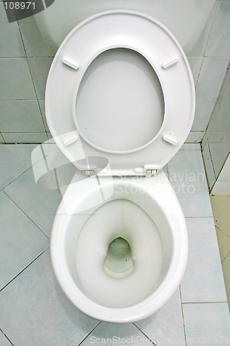 Image of Toilet Bowl