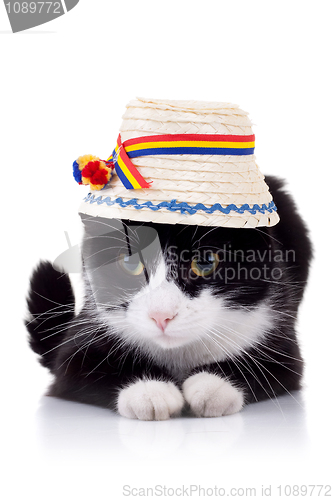 Image of cute black and white cat with hat
