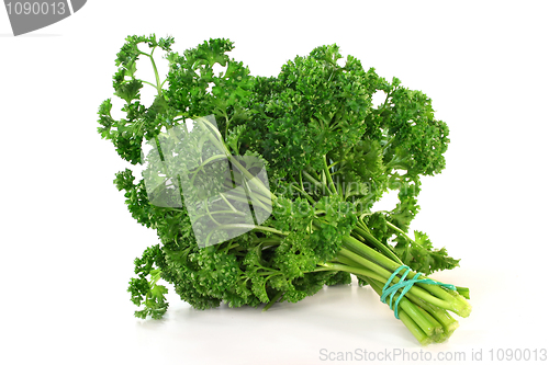 Image of Parsley