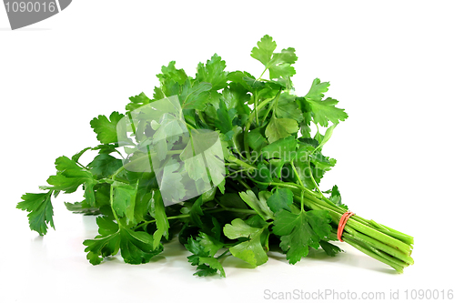 Image of Parsley