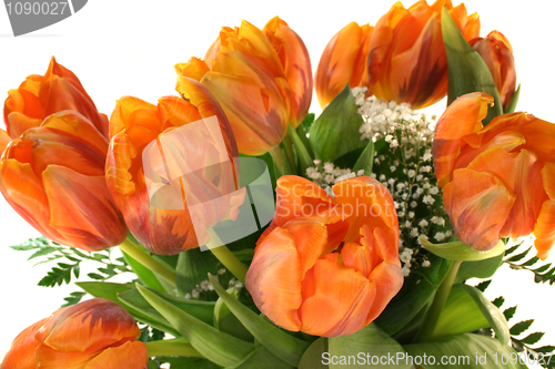 Image of tulips bouquet
