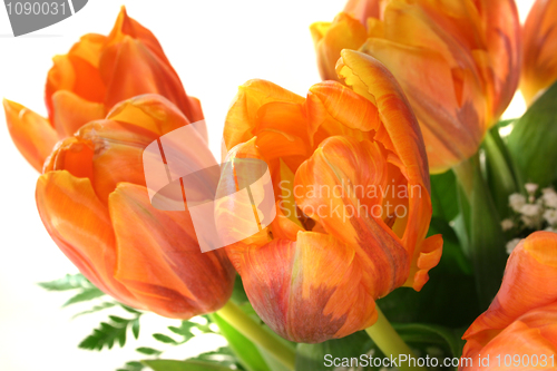 Image of tulips bouquet