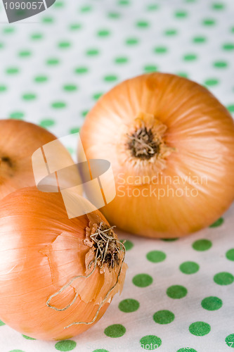 Image of fresh onions 