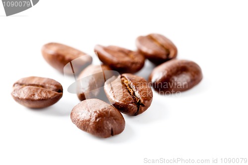 Image of coffee beans 