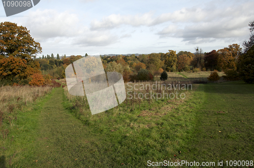 Image of Autumn park