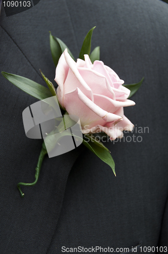 Image of Rose