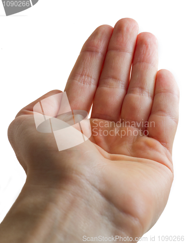 Image of Open Hand Palm