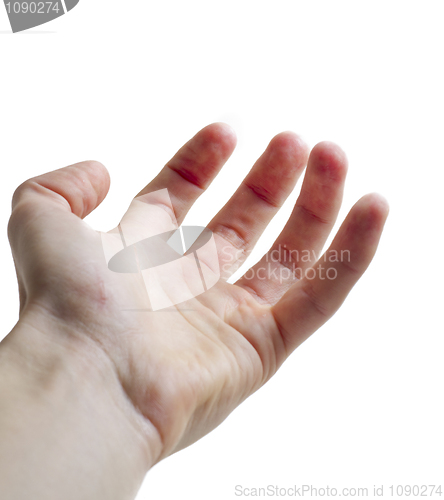 Image of Open Hand Palm