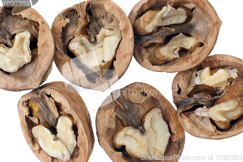 Image of Walnuts close-up