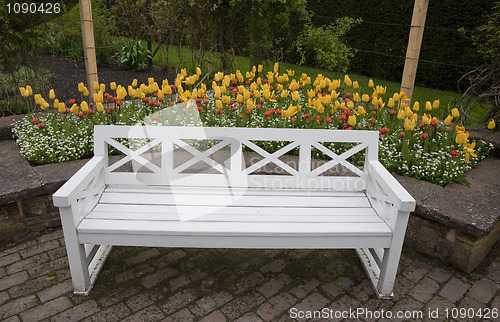 Image of White bench and tulips