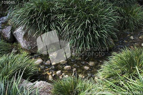 Image of Artificial Creek