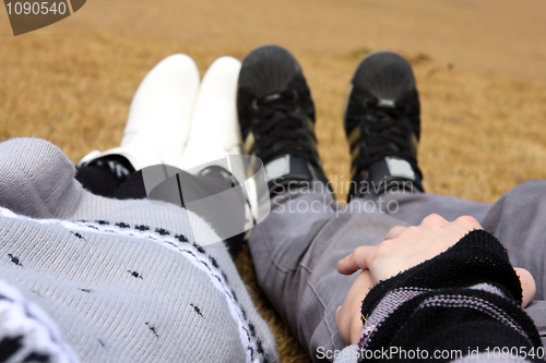 Image of Portrait of attractive couple holding by hands lying on the gras