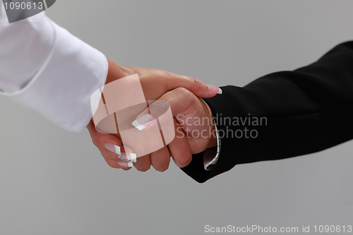 Image of Feminine handshake