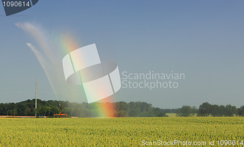 Image of Agricultural rainbow