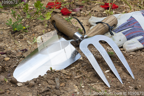 Image of Garden Tools