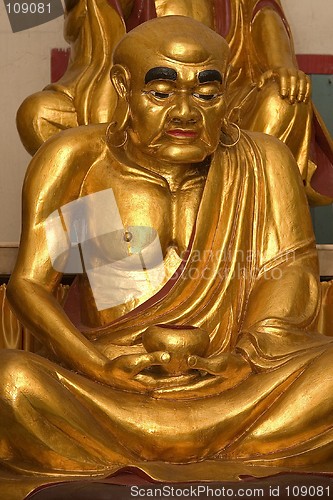 Image of Golden Lohan