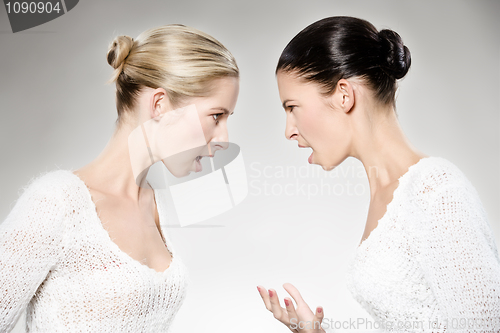 Image of women arguing