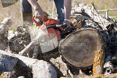 Image of Man cutting wood with a chainsaw