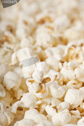 Image of Fresh Popcorn