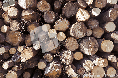 Image of stack of logs