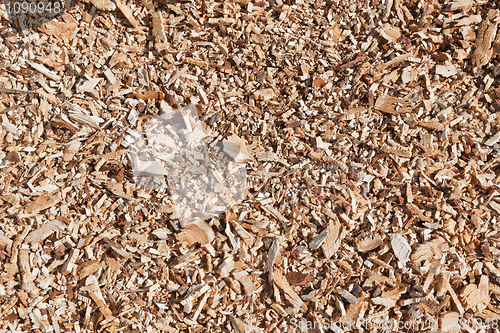 Image of Wood chip background 