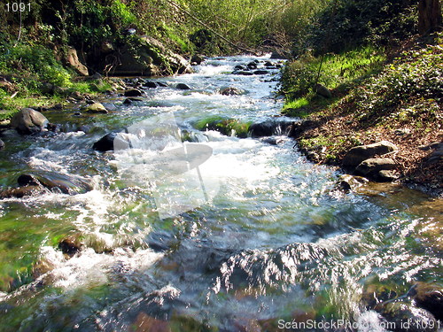 Image of Green river. Kakopetria. Cyprus