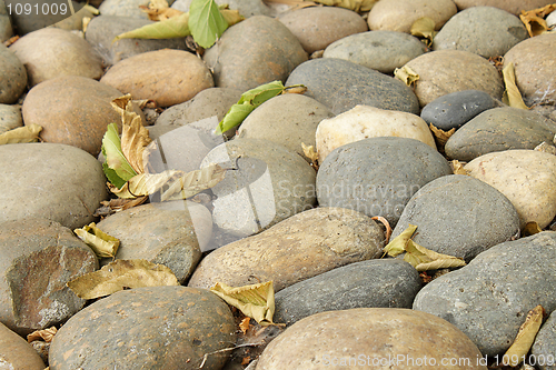 Image of Pebbles