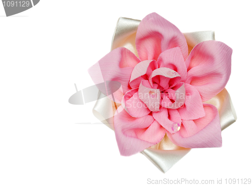 Image of Red fabrics rose