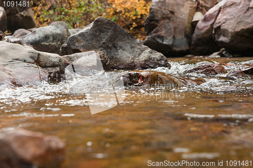 Image of pure clean water over rocks