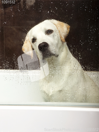 Image of Bath time