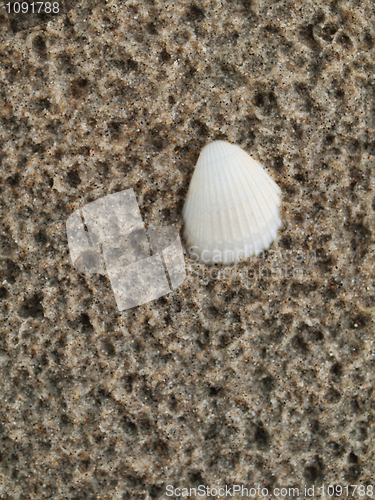 Image of Beach background