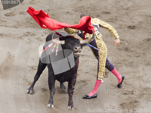 Image of bull and bullfighter