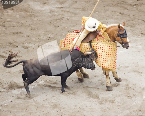 Image of bull and bullfighter picador