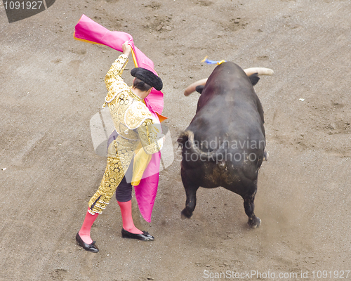 Image of bull and bullfighter