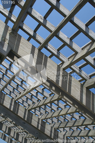 Image of Wooden Sky