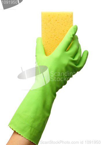 Image of Hand in glove holding washing sponge