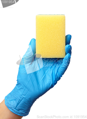 Image of Hand in glove holding washing sponge