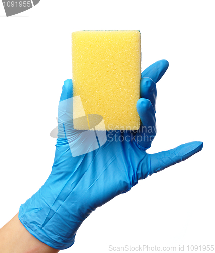 Image of Hand in glove holding washing sponge
